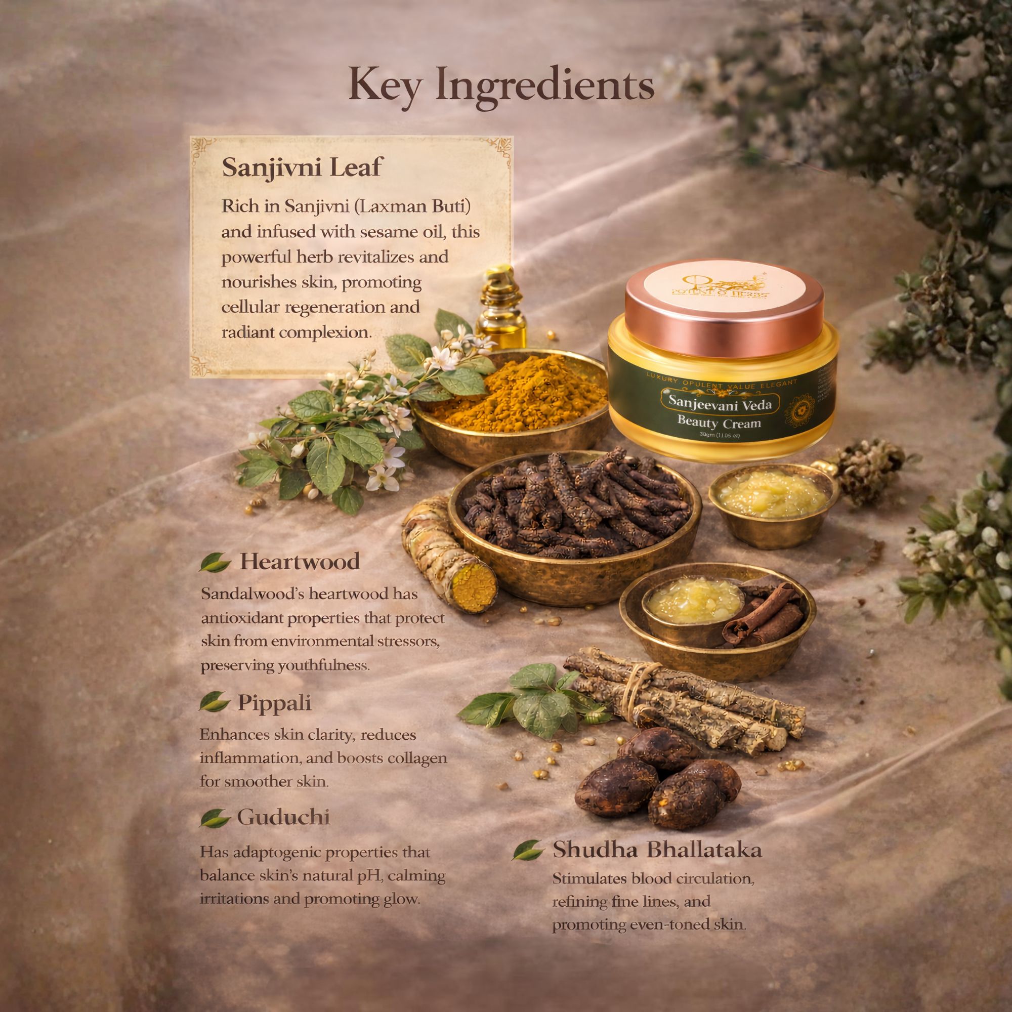 Sanjeevani Veda Beauty Cream - Image 5